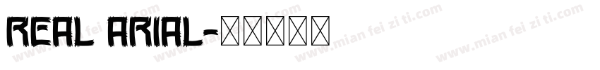 Real Arial字体转换